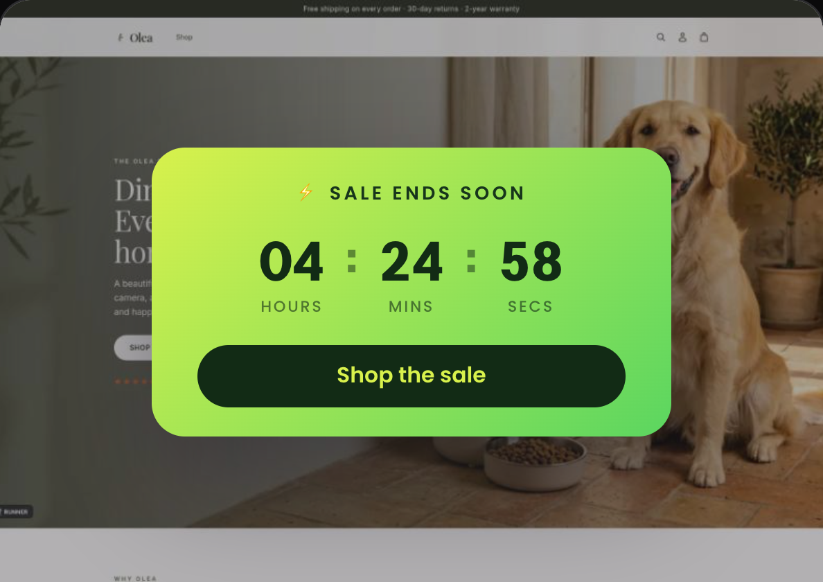 Shop-Vorschau für Countdown-Timer für Landingpages